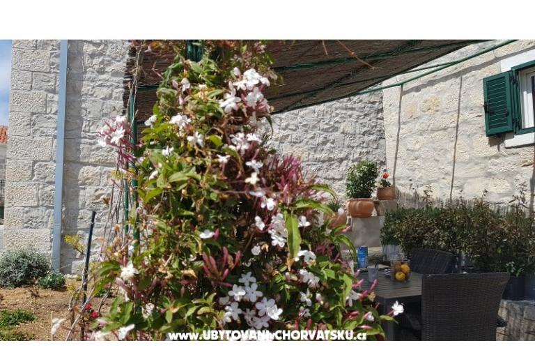 Appartementen Tomas Brela – foto 7