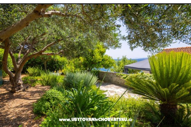 Appartementen Villa Porat – foto 4