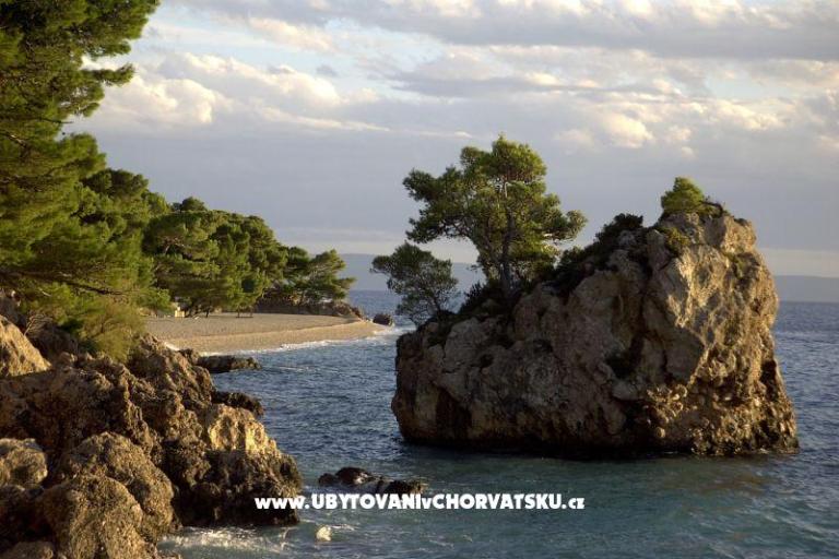 Appartementen Jagoda – foto 8