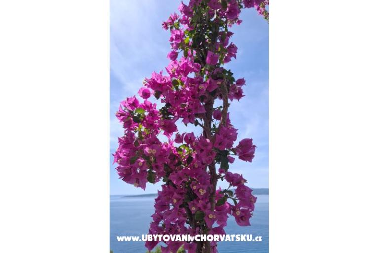 Appartement Renata – foto 16