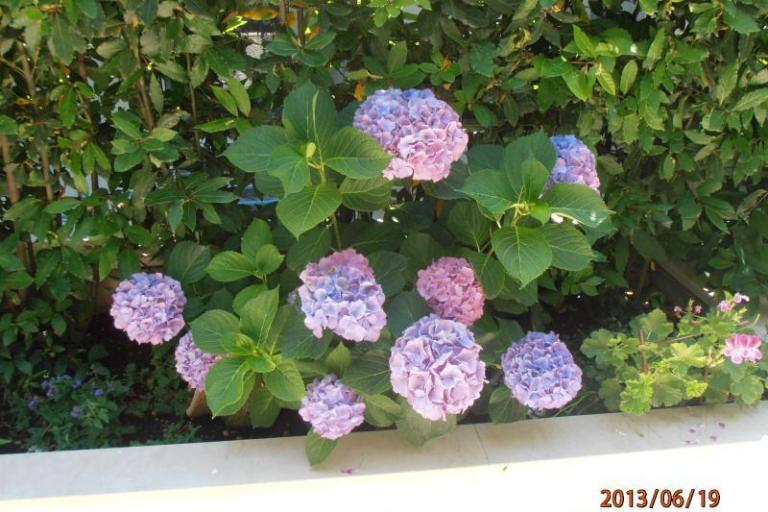 Appartement Renata – foto 17