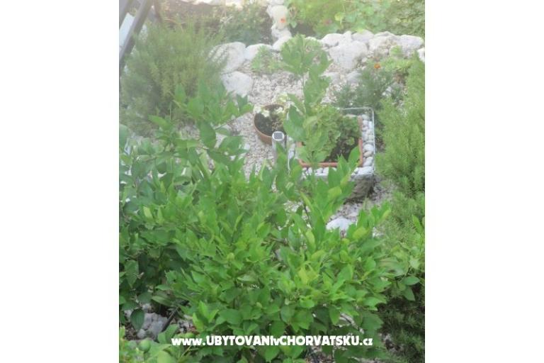 Appartementen  Ivo Pikolo – foto 18
