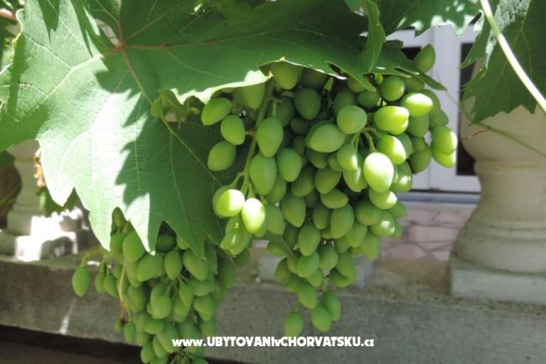 Huis Željko i Marija – foto 13