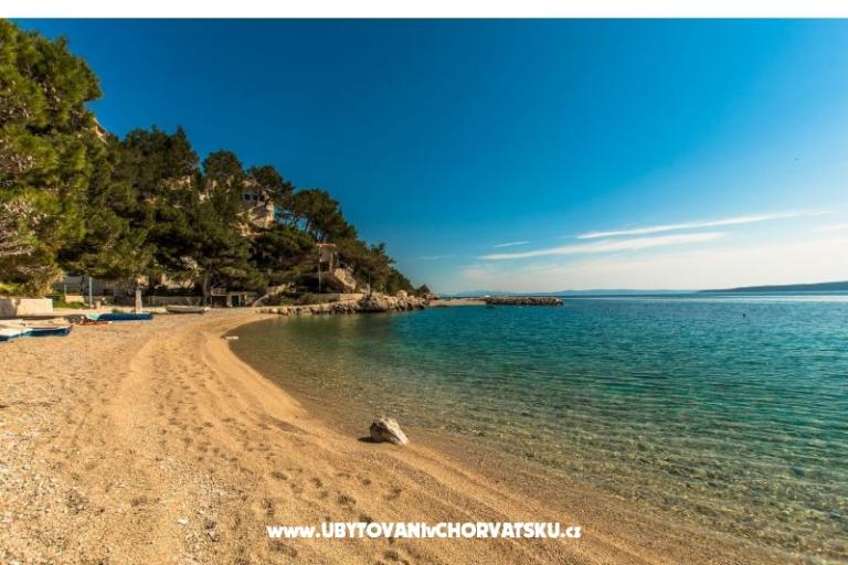 Pine Canopy Studios and Appartementen – foto 10