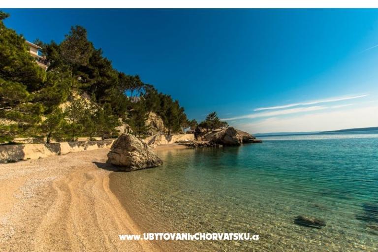 Pine Canopy Studios and Appartementen – foto 12