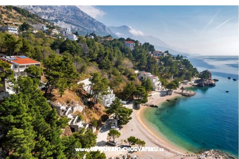 Pine Canopy Studios and Appartementen – foto 13