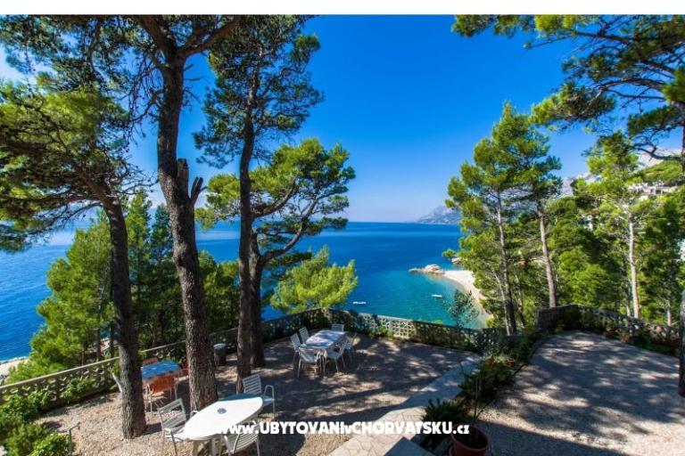 Pine Canopy Studios and Appartementen – foto 15