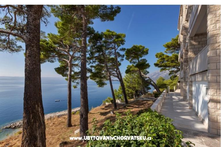 Pine Canopy Studios and Appartementen – foto 16