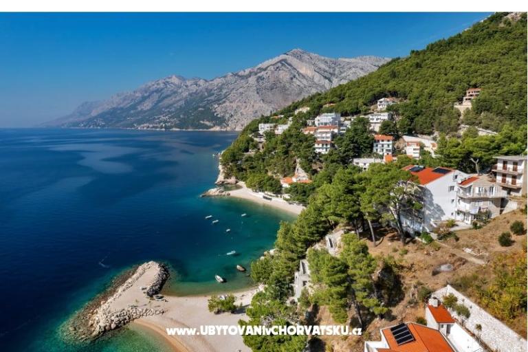 Pine Canopy Studios and Appartementen – foto 3