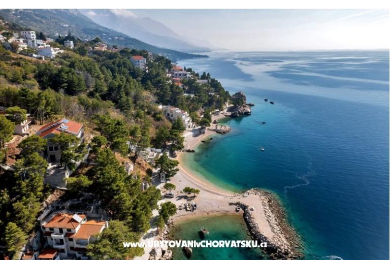 Pine Canopy Studios and Appartementen – foto 7