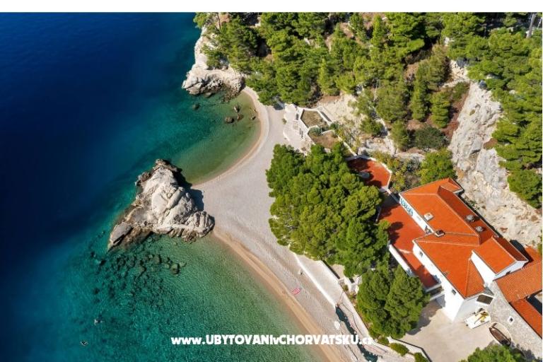 Pine Canopy Studios and Appartementen – foto 8