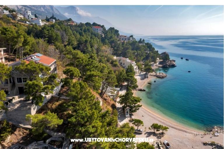 Pine Canopy Studios and Appartementen – foto 9