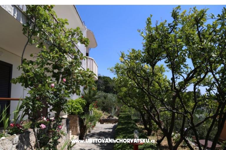 Appartementen Mare – foto 17