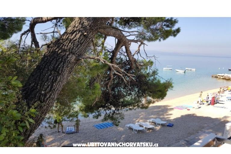 Huis Pokoje Kamer Villa Sodan – foto 11