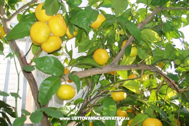 Appartementen Orbanić – foto 12