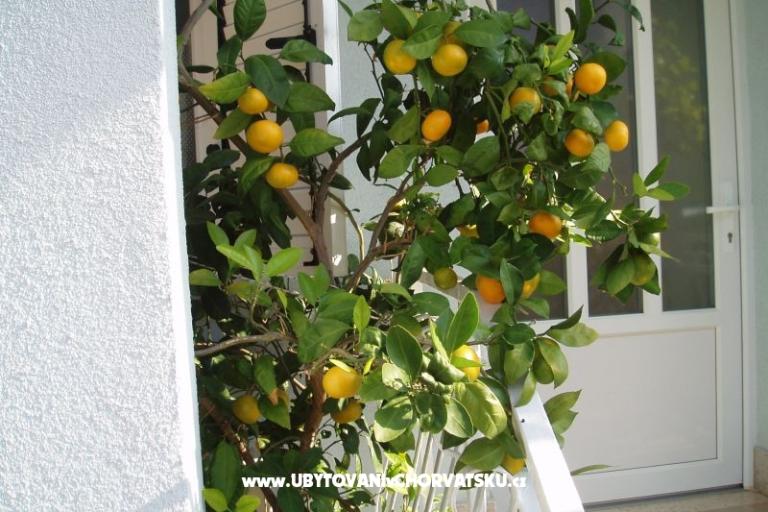 Appartementen Orbanić – foto 14