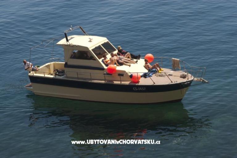 Pensioen Tramontana – foto 9