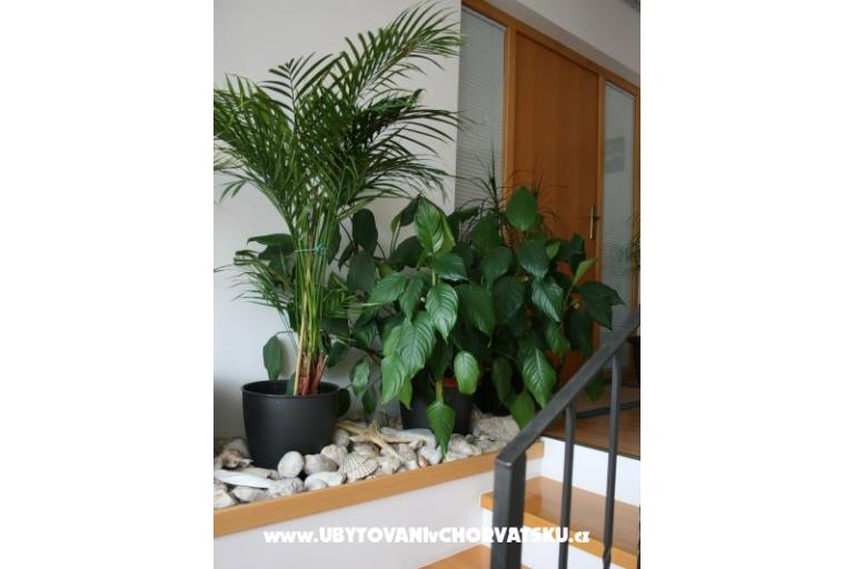 Appartementen Katarina – foto 4