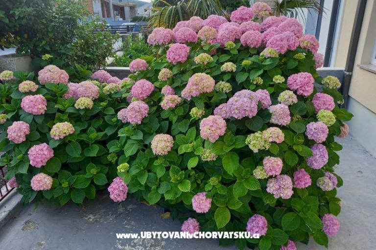 Appartementen Rosi – foto 3