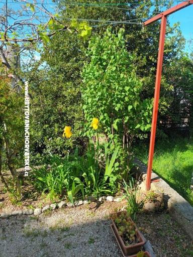 Appartementen Rosi – foto 6