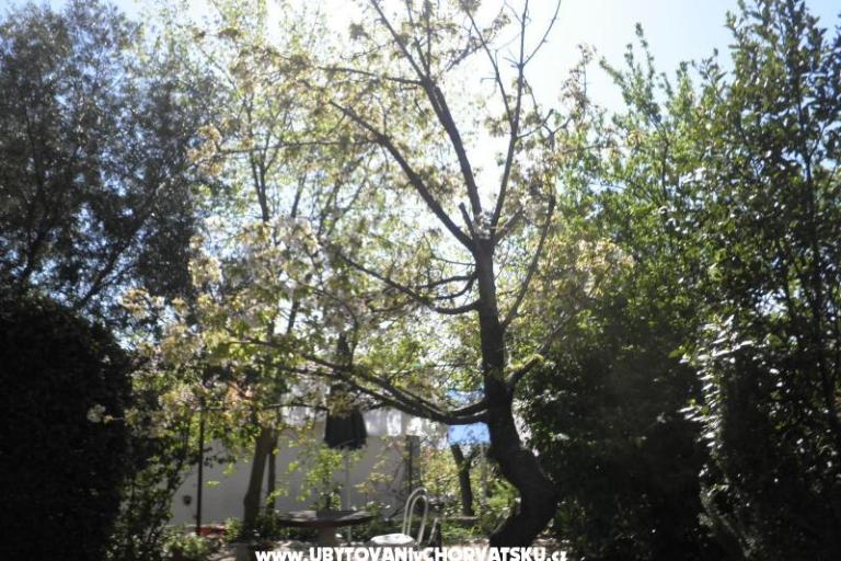 Appartementen Rosi – foto 9