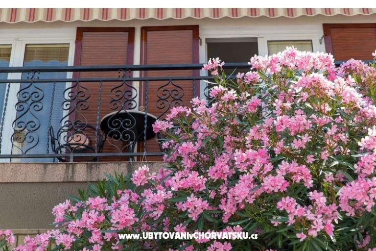 Appartementen Tea – foto 5
