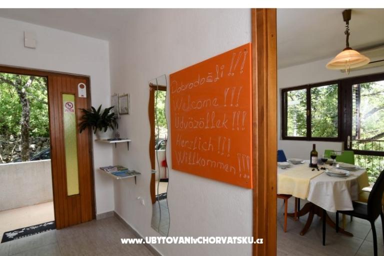 Appartementen Vives – foto 7