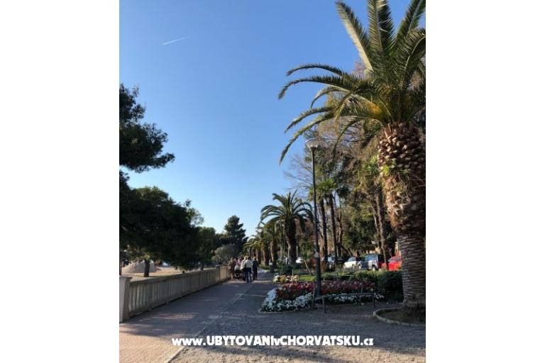 Appartementen Sun and Sea – foto 10