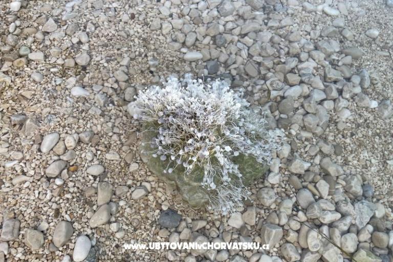 Appartementový dům  – foto 7