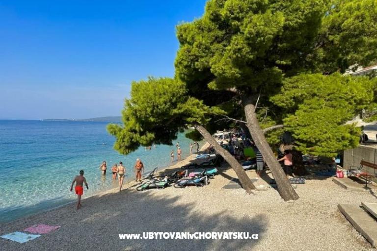 Villa  Delic – foto 23