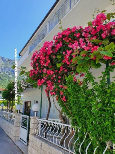 Appartementen Villa Ivan Drvenik – foto 2