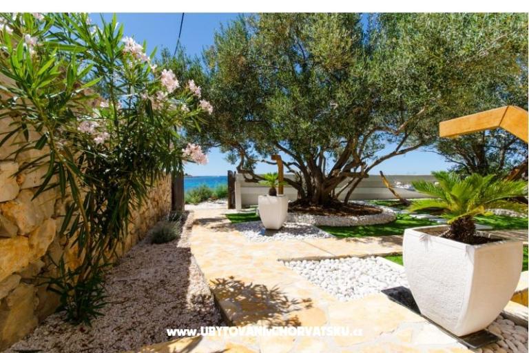 Pearl of Adriatic - Drvenik Mali – foto 10