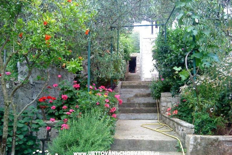 Appartement Žulji – foto 5