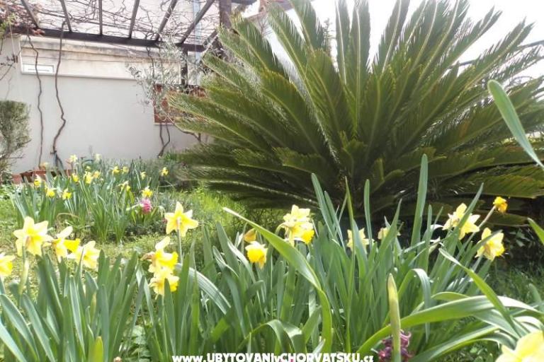 Appartement Venier – foto 14