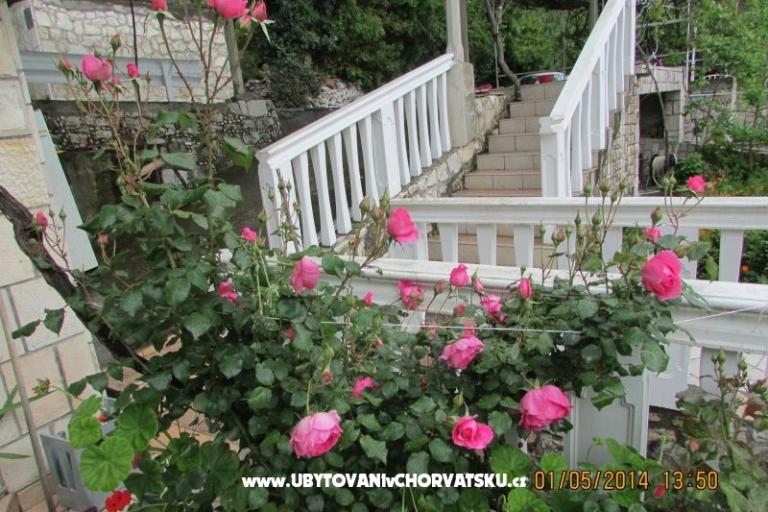 Appartementen  Anka – foto 17