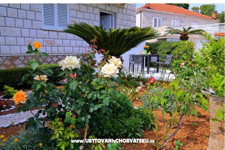 Appartementen LOVE DUBROVNIK – foto 14