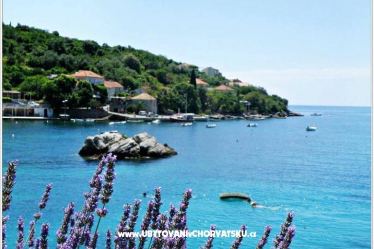 Villa Ana Appartementen – foto 11