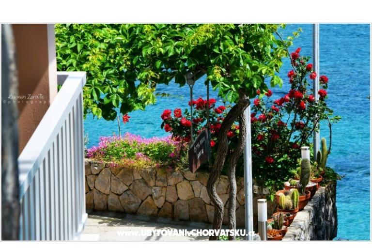 Villa Ana Appartementen – foto 3