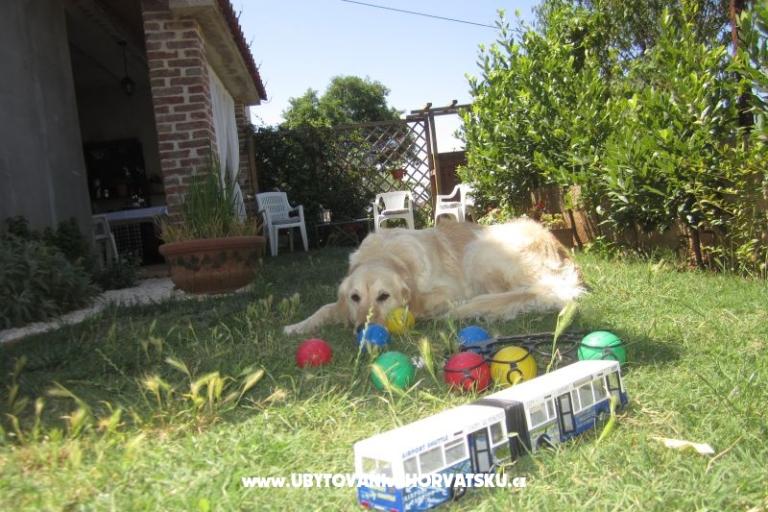 Appartement Flora – foto 14