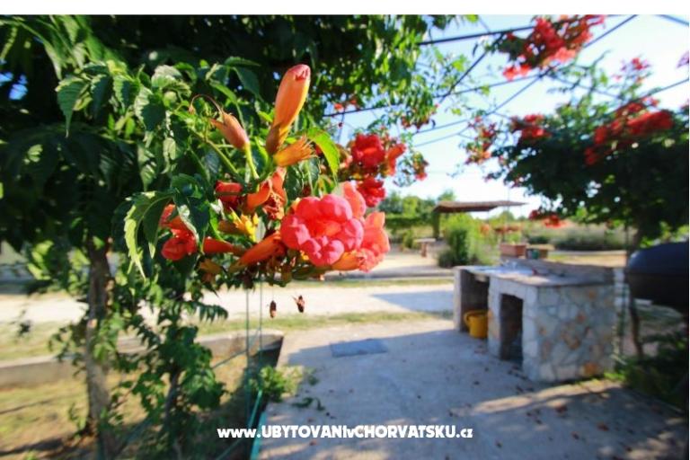 Appartement Sandra  – foto 11