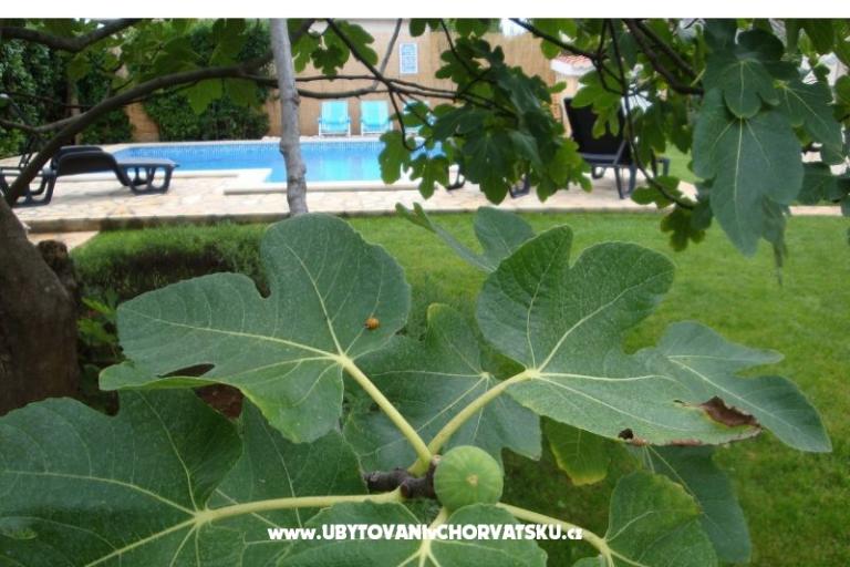 Appartementen Dorijo – foto 8