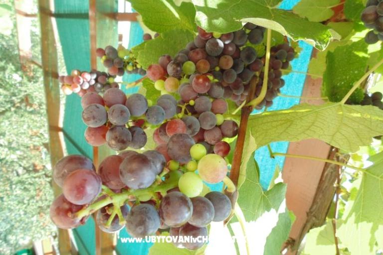 Appartementen Josipović – foto 6