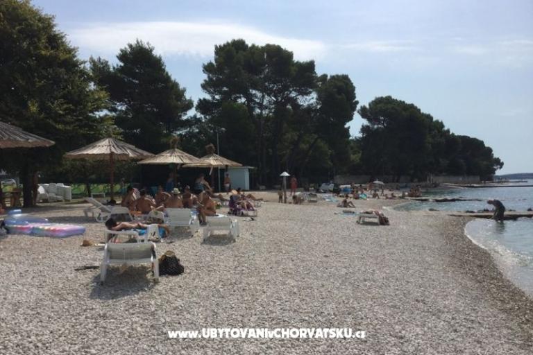 Appartementen MiBi – foto 14