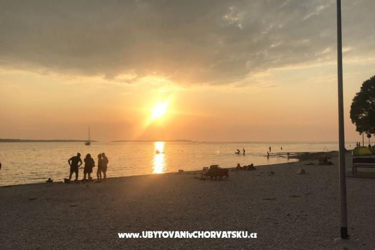 Dante – foto 10