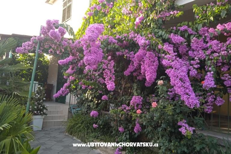 Appartementen Majica – foto 6