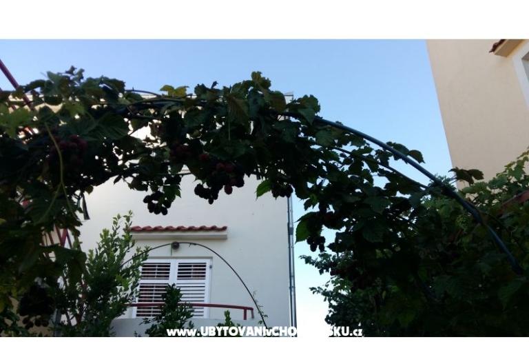 Appartementen Matej – foto 14