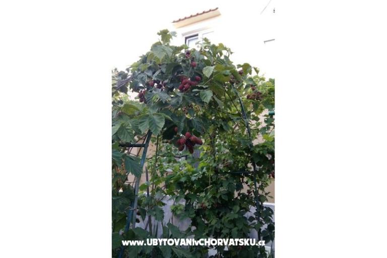 Appartementen Matej – foto 5