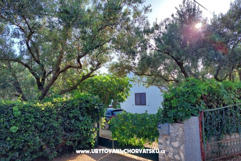 Vakantiehuis - Appartement Milka – foto 4