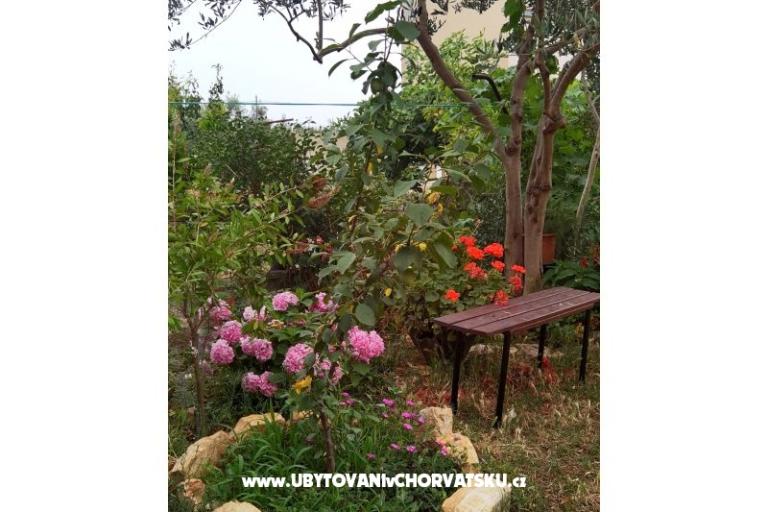 Appartementen Andjelka &amp; Jure – foto 8