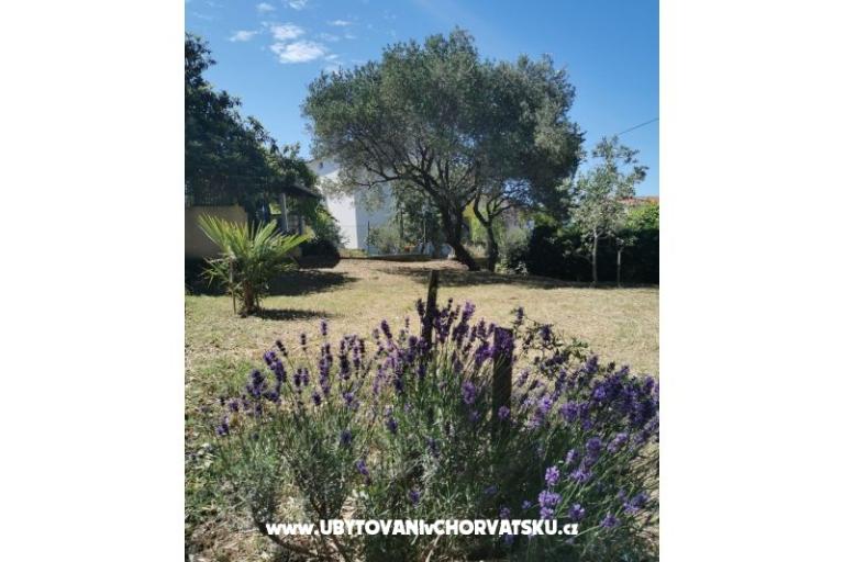 Appartementen Dijana – foto 2